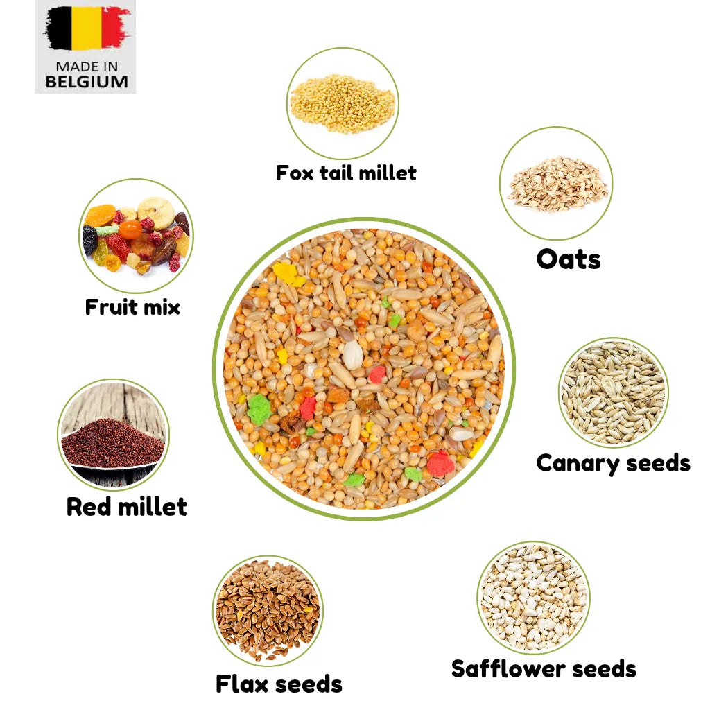 Dear Pet Country Budgie Seed Mix – bird food