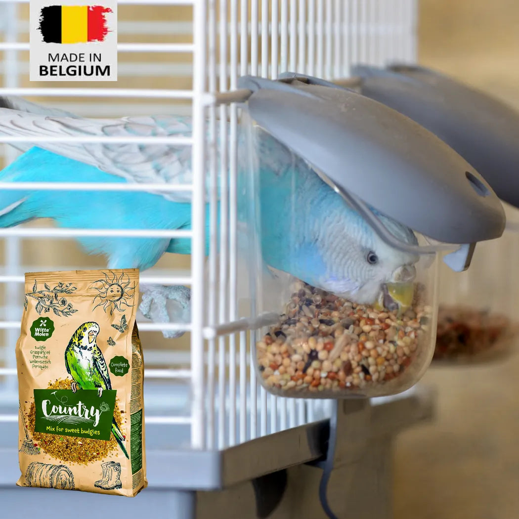 Dear Pet Country Budgie Seed Mix – bird food