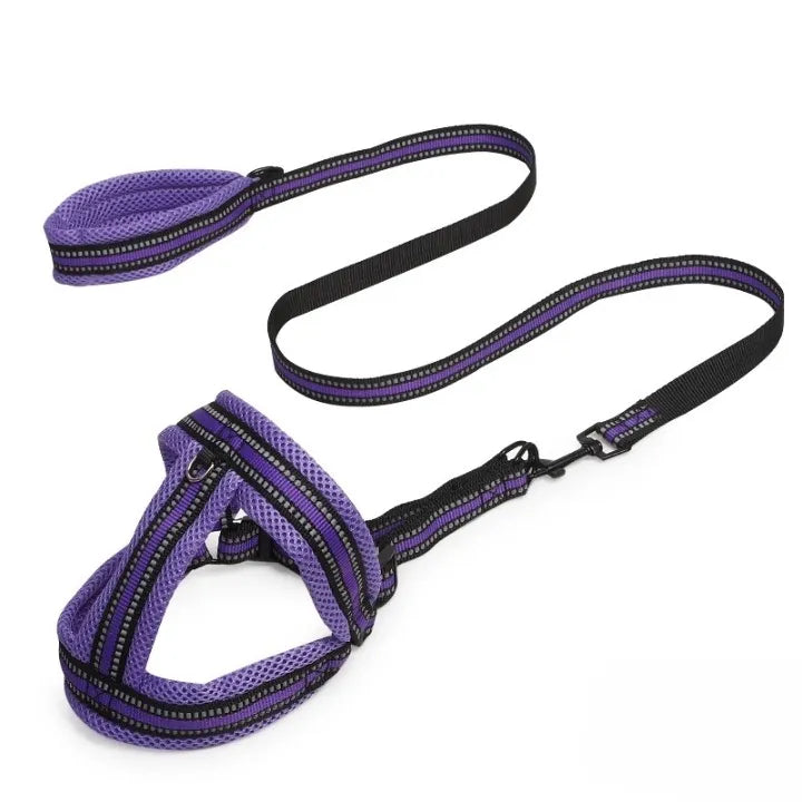 Petbroo adjustable harness with chest, dog walking essentials