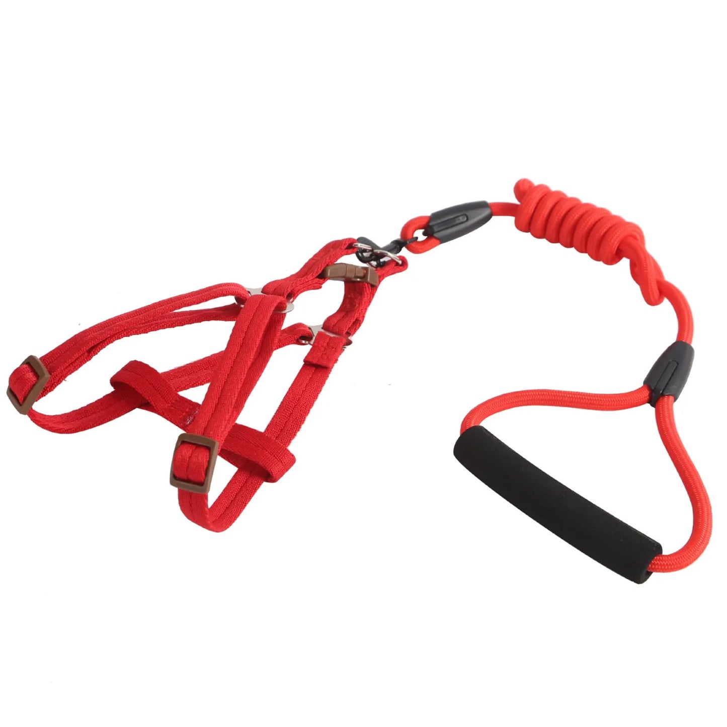Petbroo 3-in-1 Adjustable Dog Harness Set – dog walking essentials