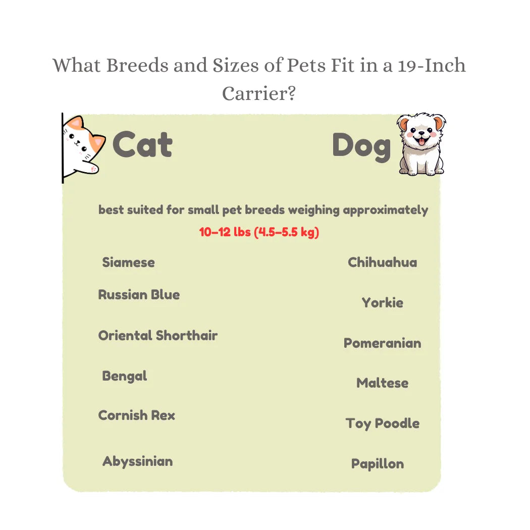 Petbroo dog crate box- travel essentials