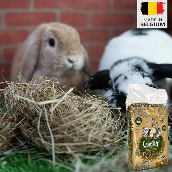 Country Blossom Hay with Carrot - 500gm small animal forage