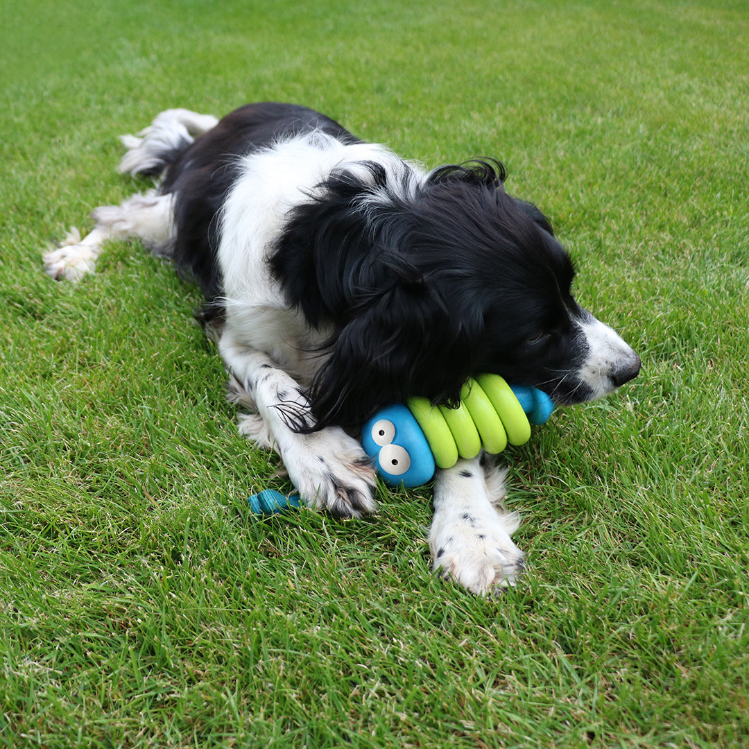 Coockoo Larry lime Lime dog toy