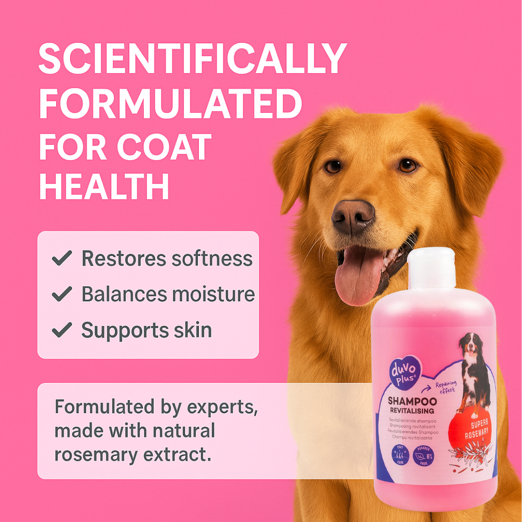 Duvo+ Revitalizing Shampoo - pet grooming