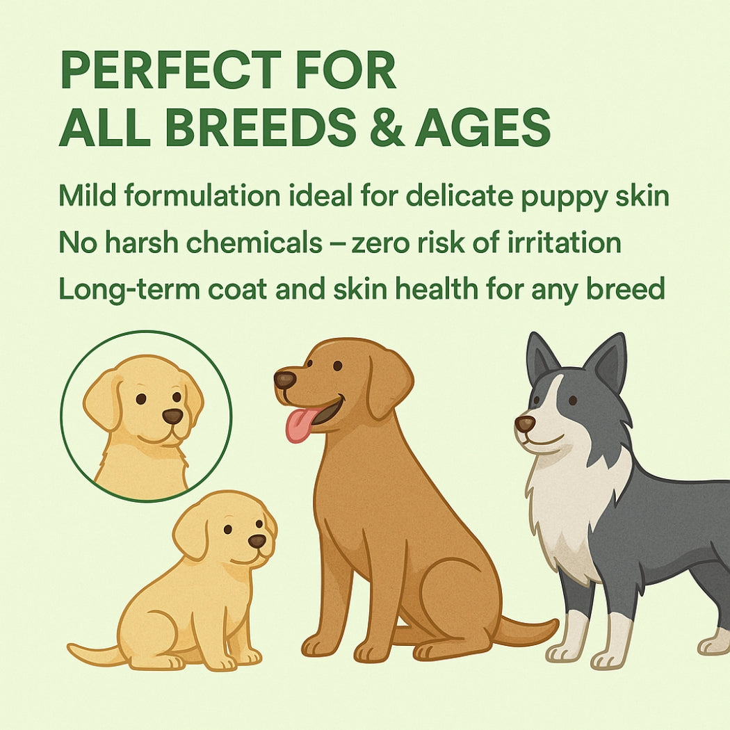 Duvo+ hypoallergenic shampoo- pet grooming