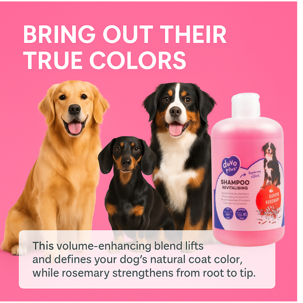Duvo+ Revitalizing Shampoo - pet grooming