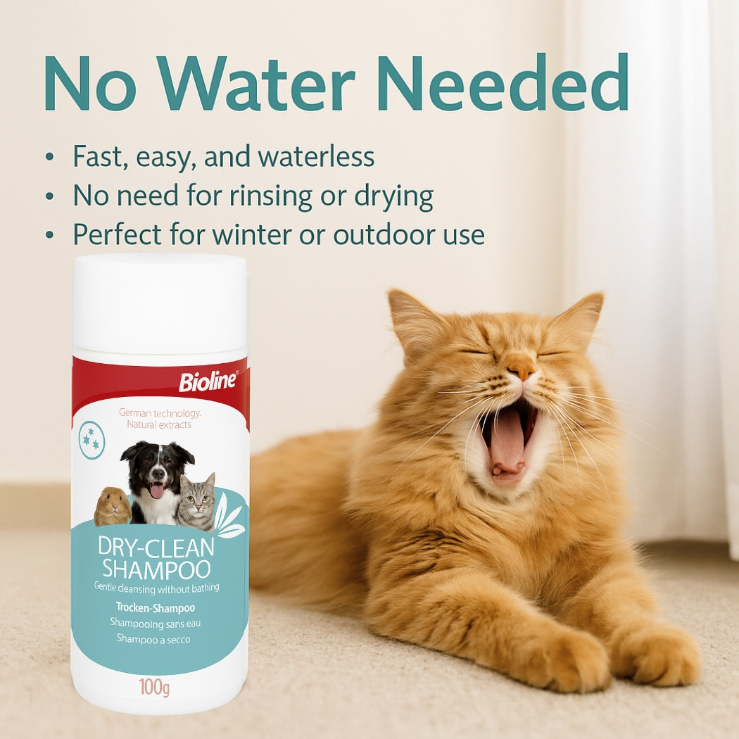Bioline dry clean shampoo -100g pet grooming