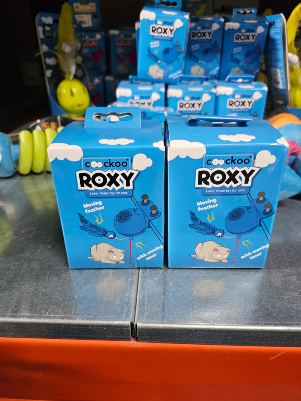 Coockoo Roxy laser toy Blue dog toy
