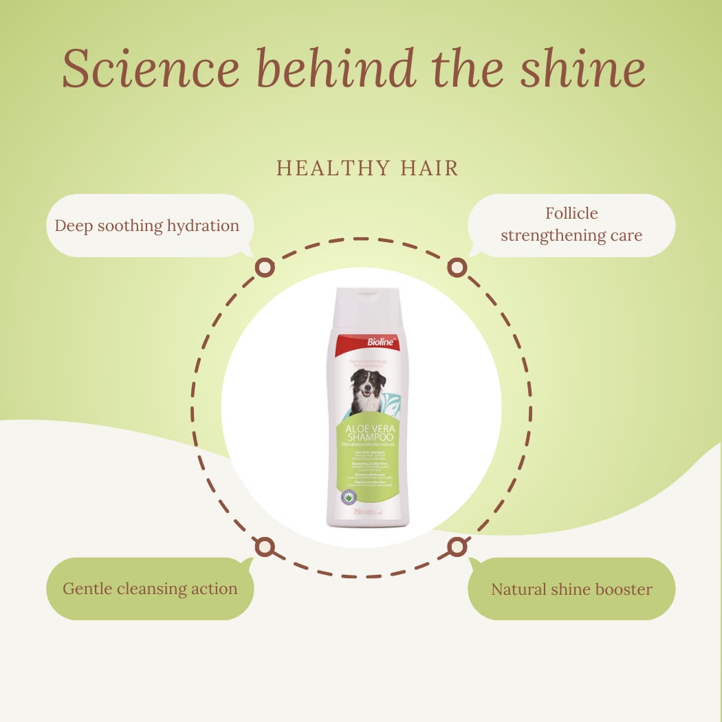 Bioline Aloevera shampoo 250ml pet grooming