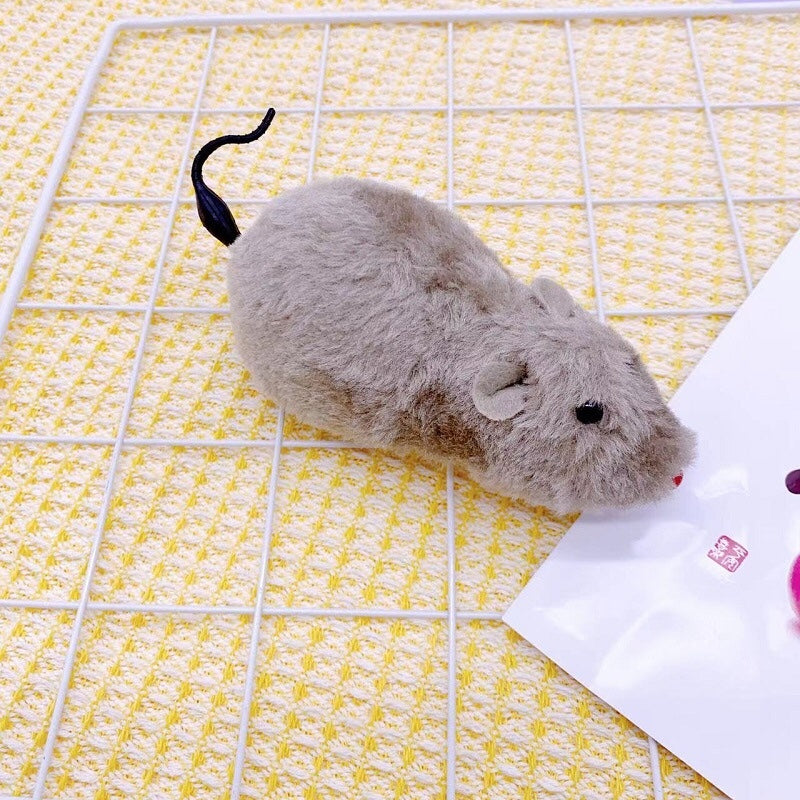 PETBROO CAT TOY MOUSE WITH KEY