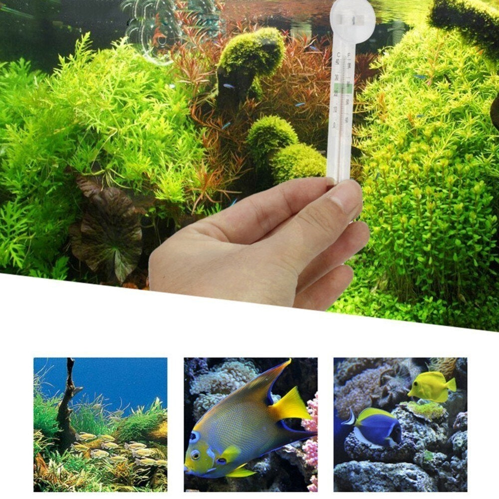 BOYU Aquarium Thermometer BT-01- aquarium essentials
