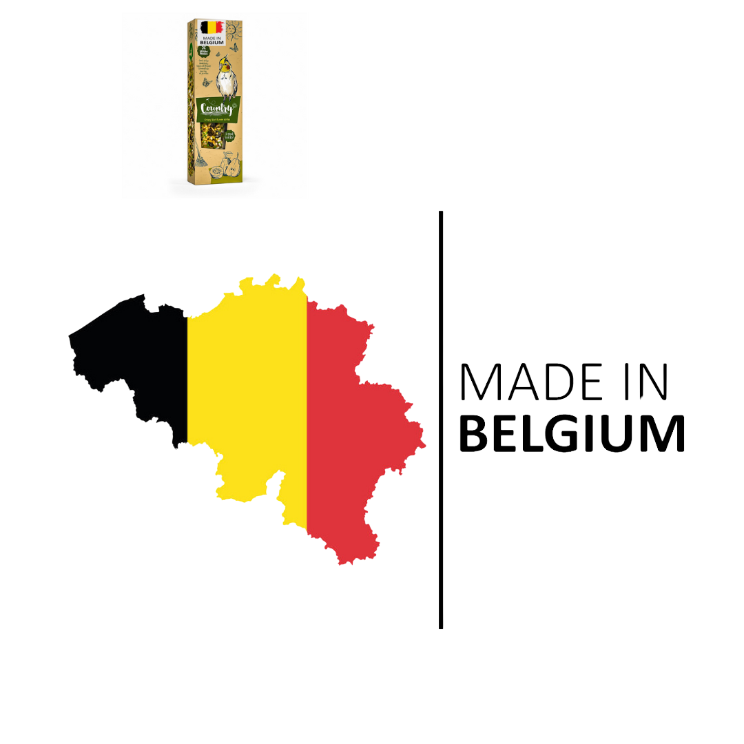 Country seed stick, parakeet kiwi and pear - 140g bird food