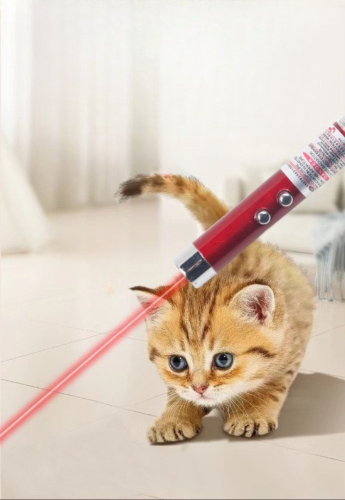 Petbroo Cat Laser Toy