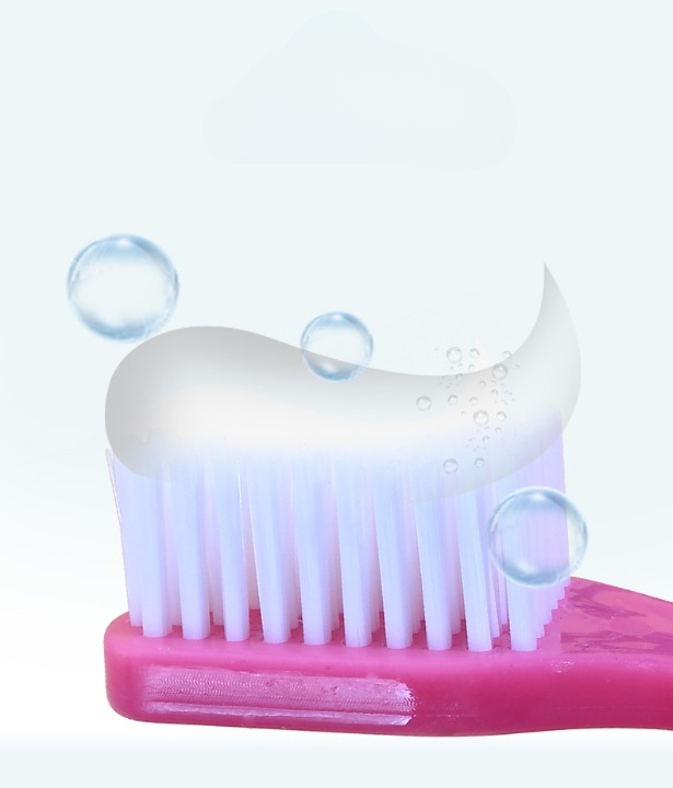 Petbroo Dental Brush