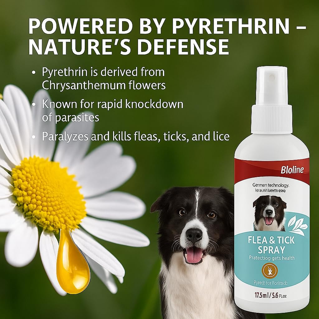 Bioline Flea and Tick spray 175ml - pet grooming
