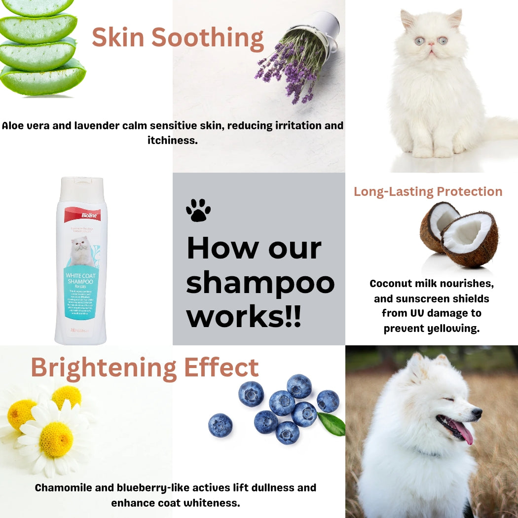 White coat shampoo for cats- 200ml pet grooming
