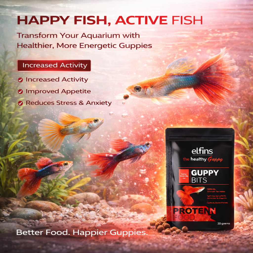 Guppy Fish Food Micro Pellets 20g