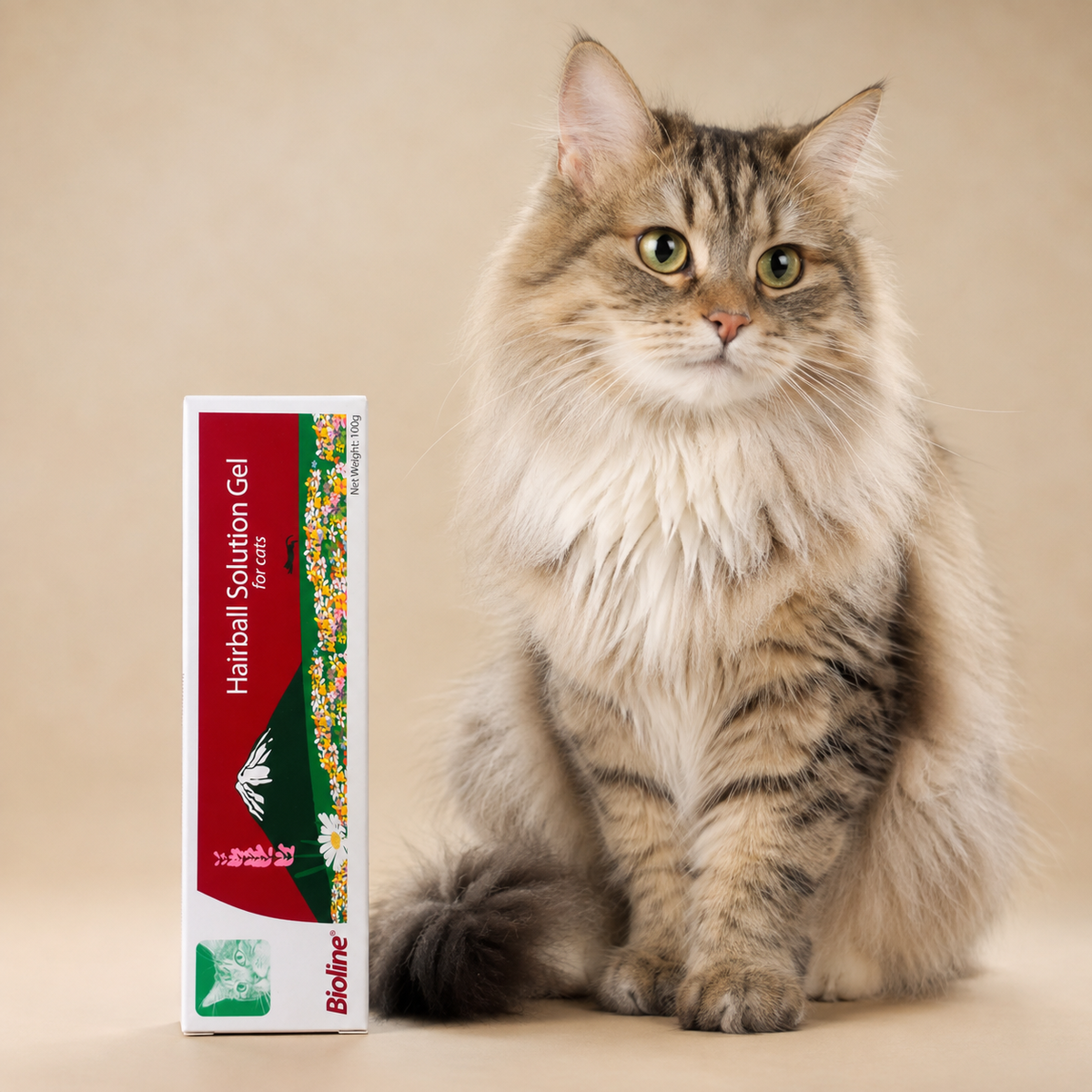 BIOLINE Hairball Solution Gel for Cats 100g | Cat Grass & Plant Fibre with Omega-3