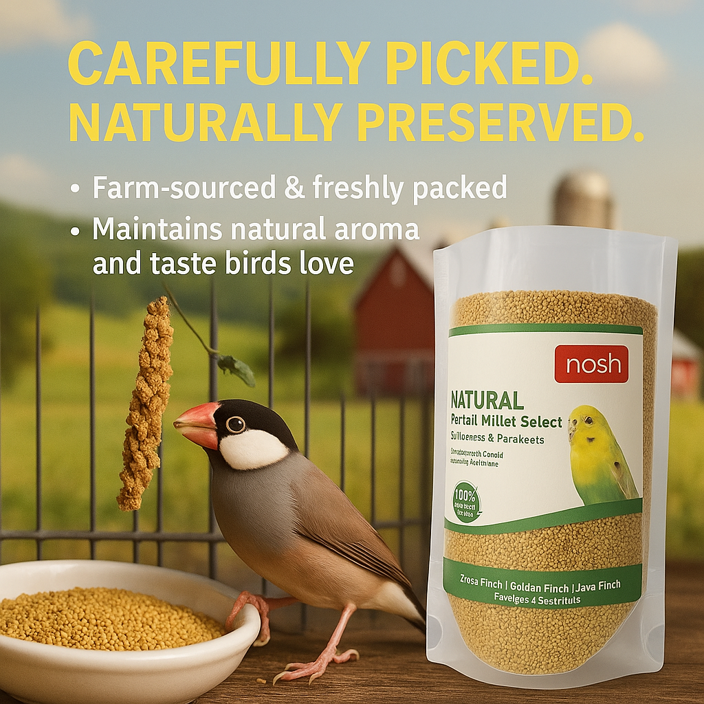 Nosh Foxtail Millet Select – 450g