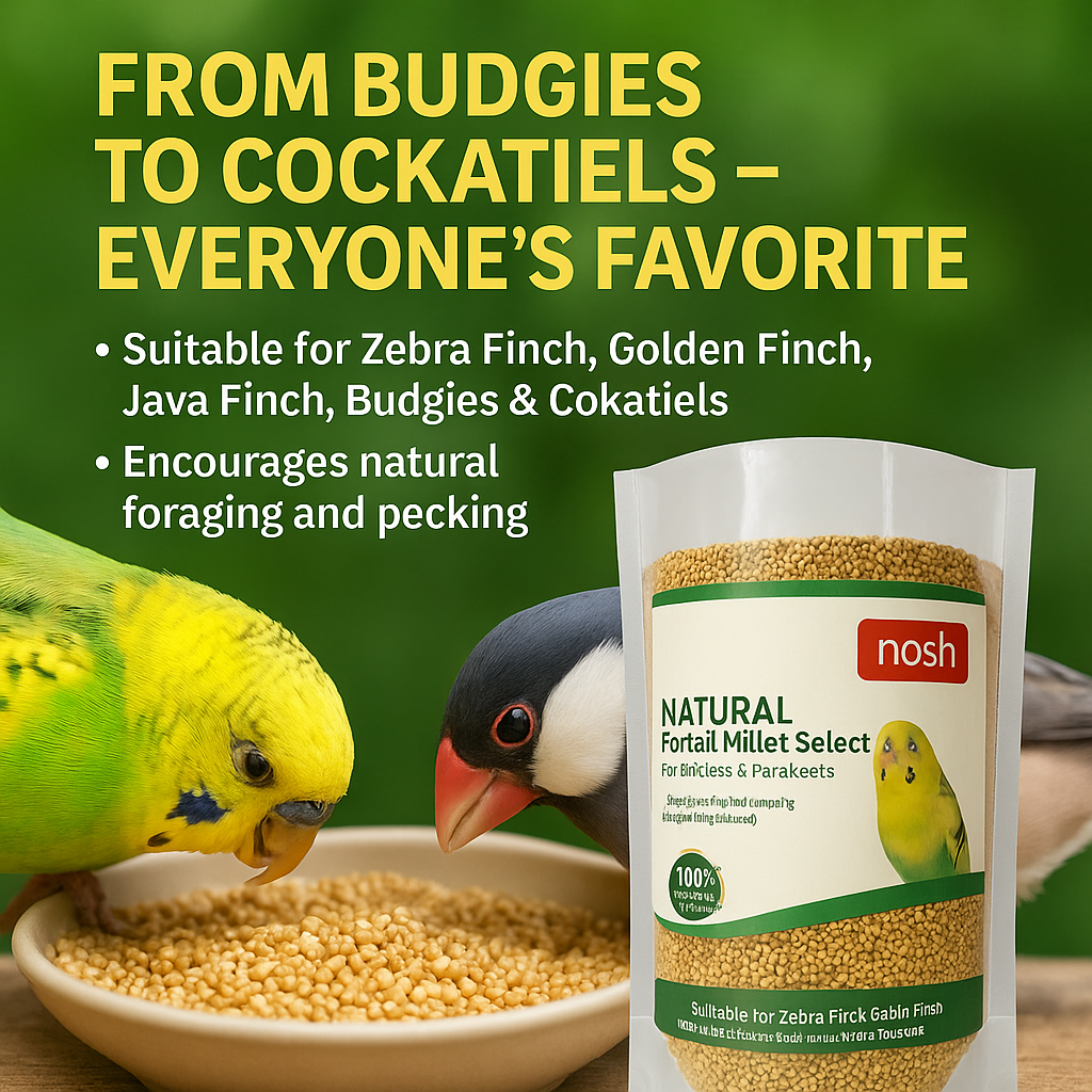 Nosh Foxtail Millet Select – 450g