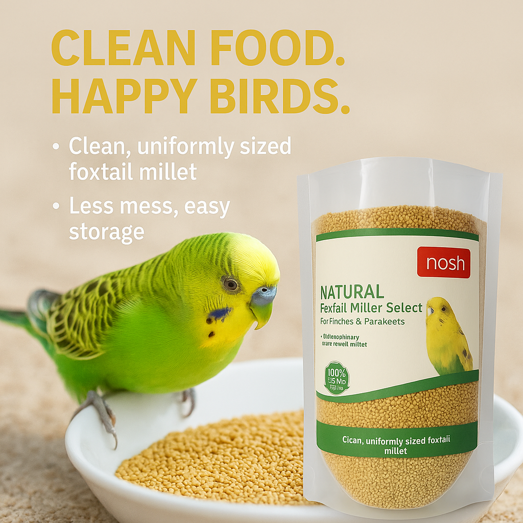 Nosh Foxtail Millet Select – 450g