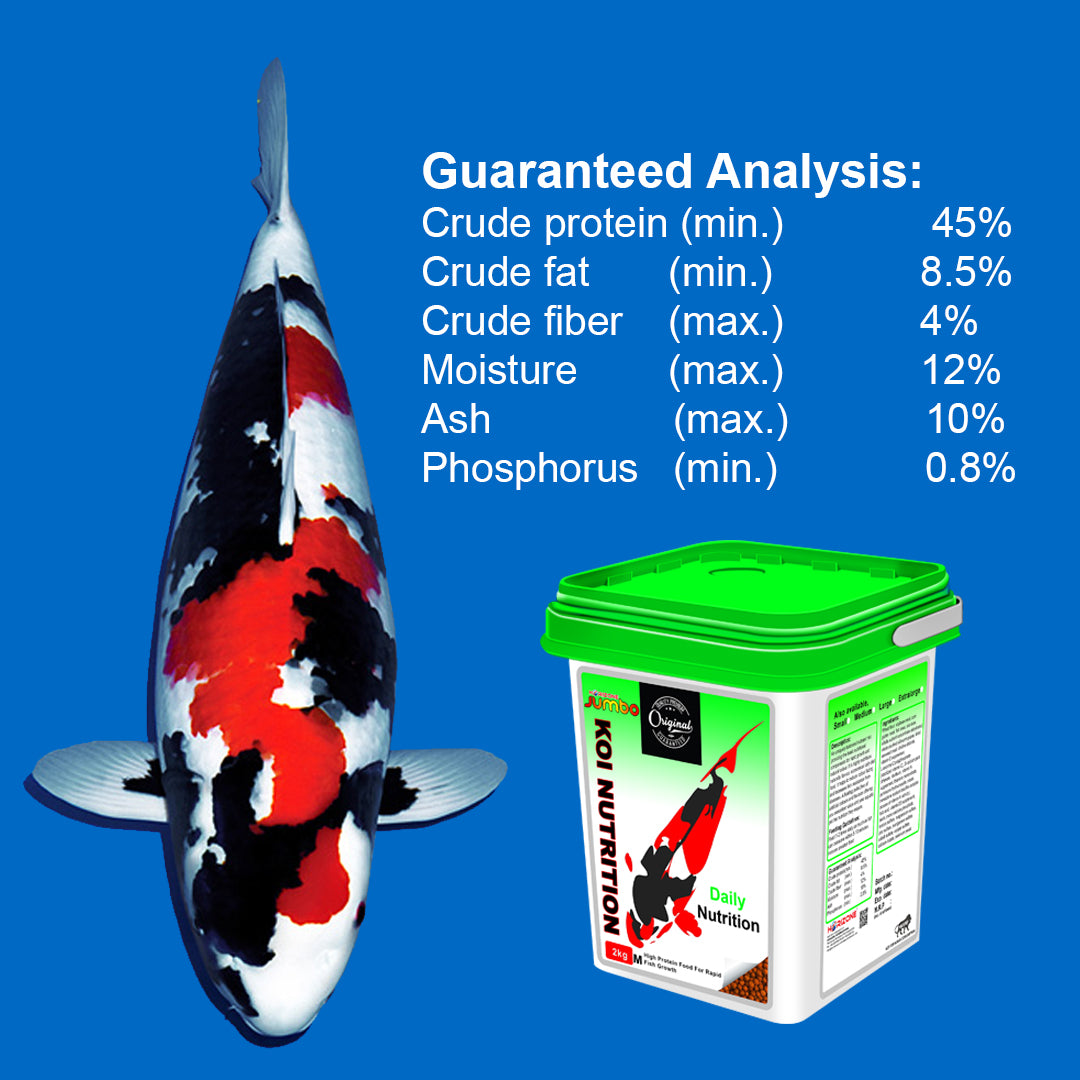 Jumbo protein rich Koi carp fish food bucket 2kg