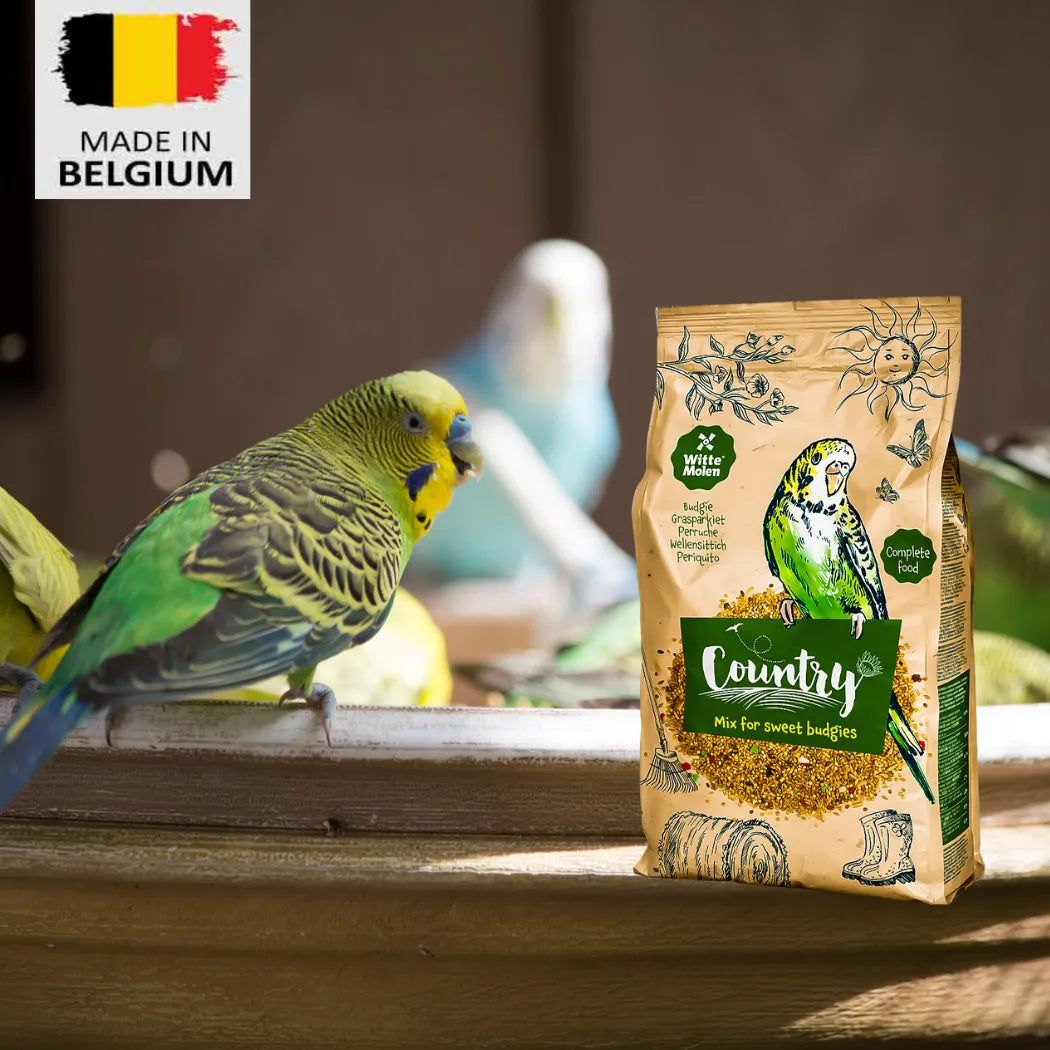 Dear Pet Country Budgie Seed Mix – bird food