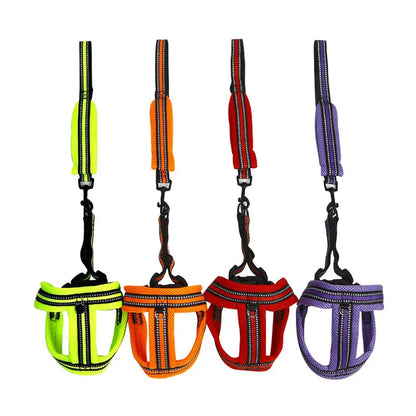 Petbroo adjustable harness with chest, dog walking essentials