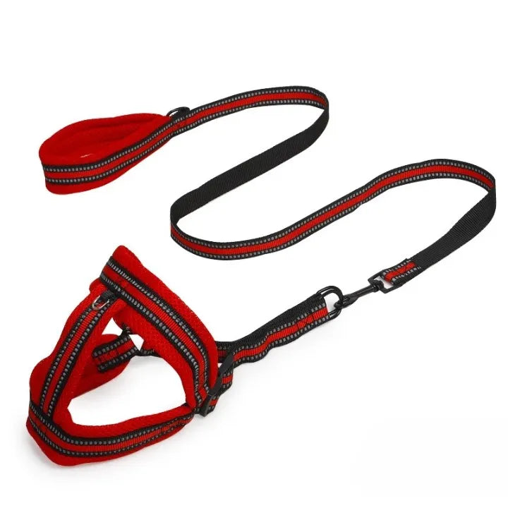 Petbroo adjustable harness with chest, dog walking essentials