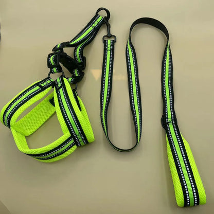 Petbroo adjustable harness with chest, dog walking essentials