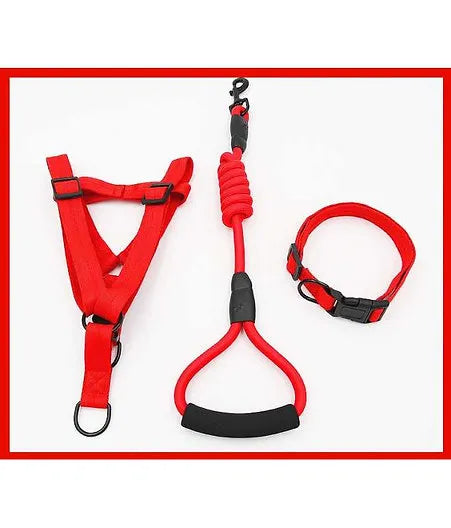 Petbroo 3-in-1 Adjustable Dog Harness Set – dog walking essentials