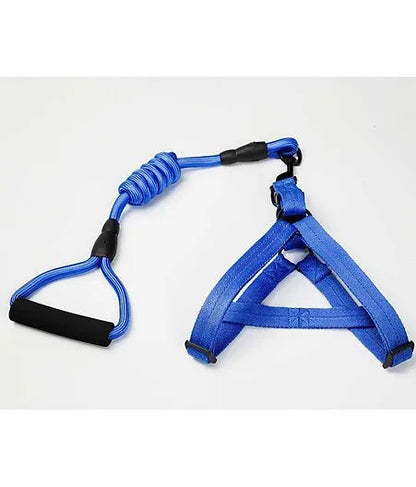 Petbroo 3-in-1 Adjustable Dog Harness Set – dog walking essentials