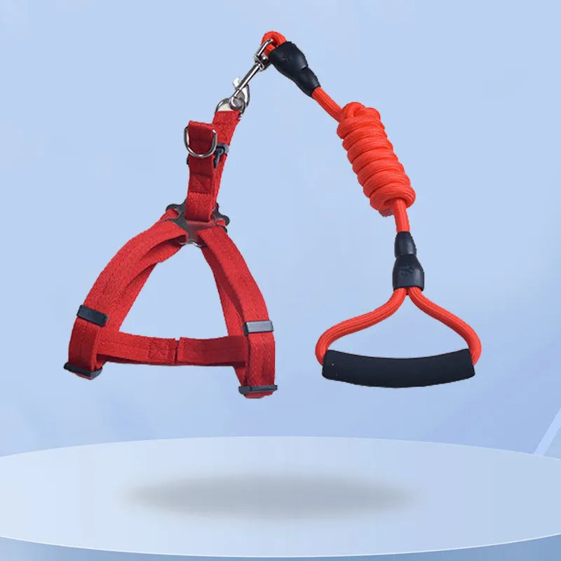 Petbroo 3-in-1 Adjustable Dog Harness Set – dog walking essentials