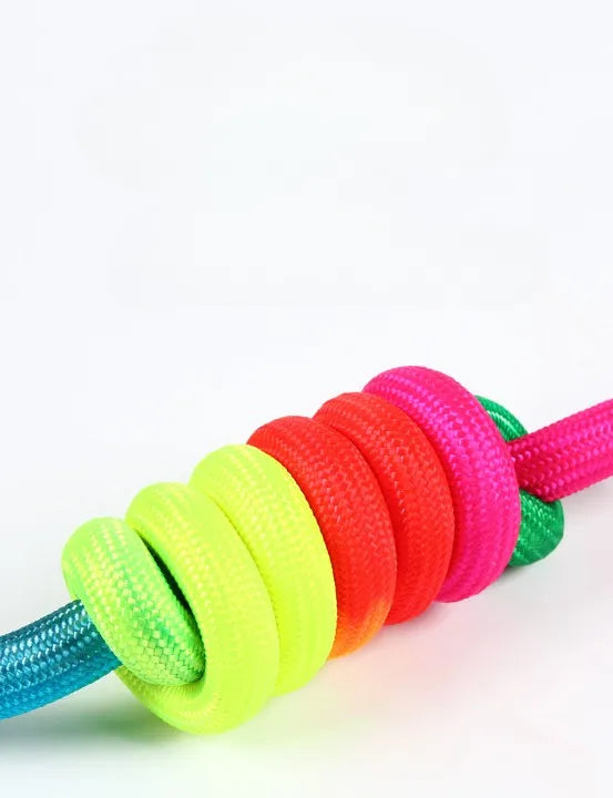 PETBROO Explosion-Proof Reflective Nylon Harness with Leash - walking essentials