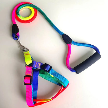 PETBROO Explosion-Proof Reflective Nylon Harness with Leash - walking essentials