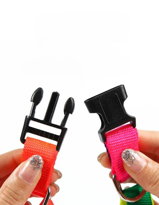 Petbroo 3-in-1 Adjustable Dog Harness Set – dog walking essentials