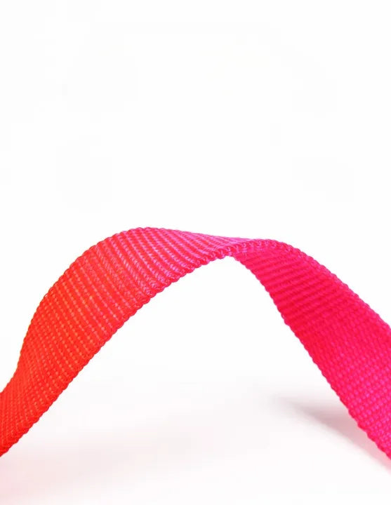PETBROO Explosion-Proof Reflective Nylon Harness with Leash - walking essentials