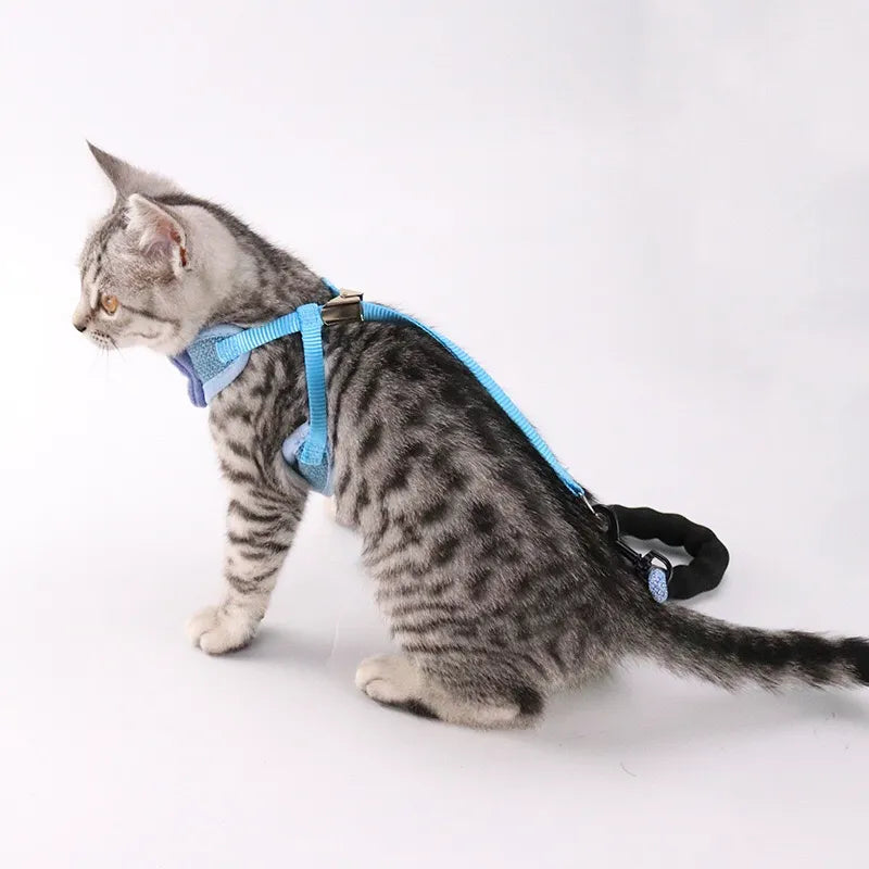 Petbroo cat harness with leads 1*115cm cat walking essentials