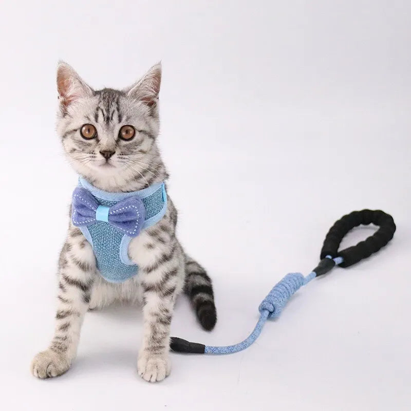 Petbroo cat harness with leads 1*115cm cat walking essentials