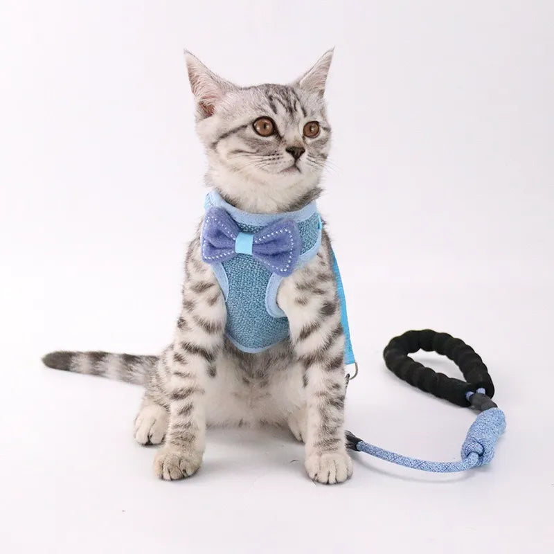 Petbroo cat harness with leads 1*115cm cat walking essentials