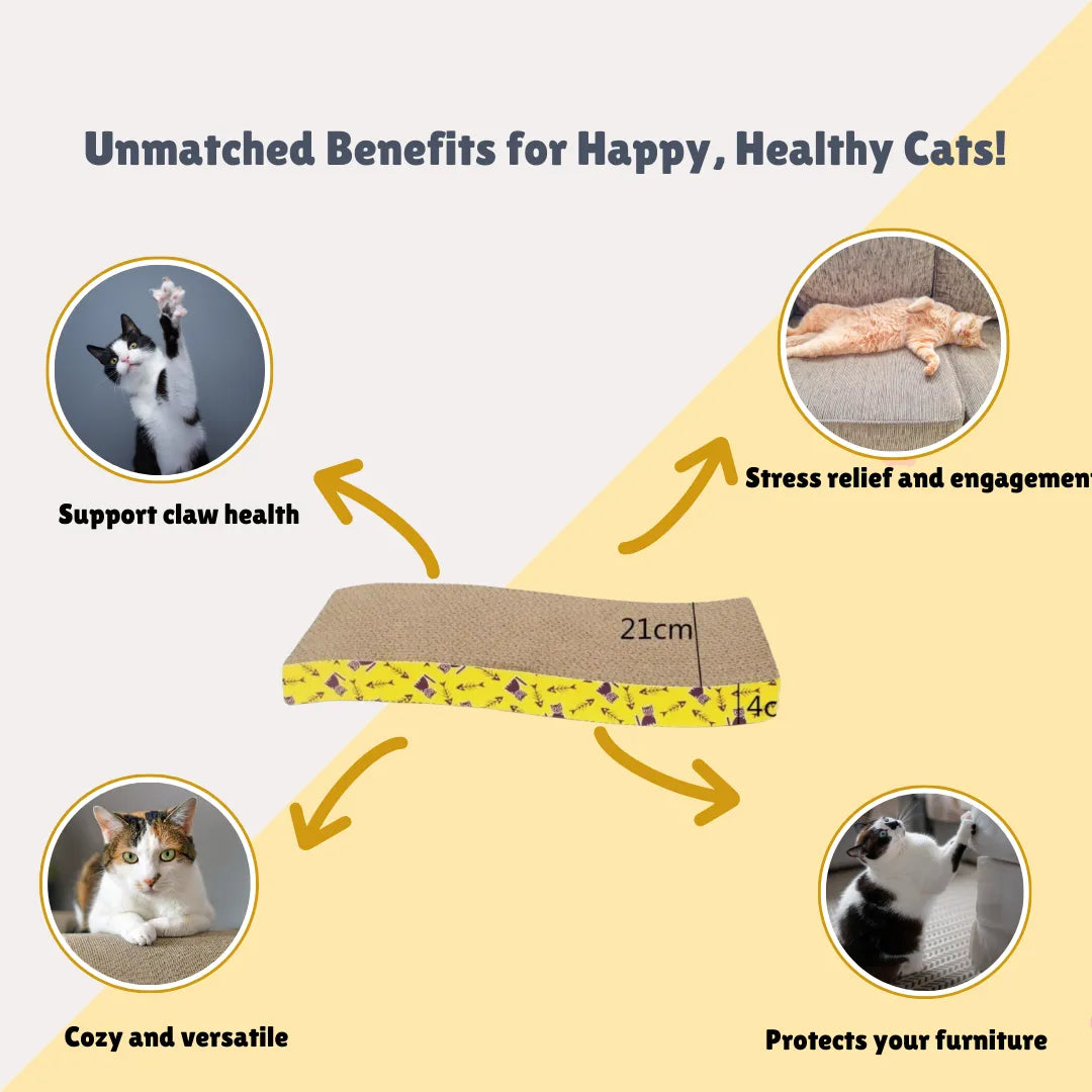 petbroo cat  scratching board