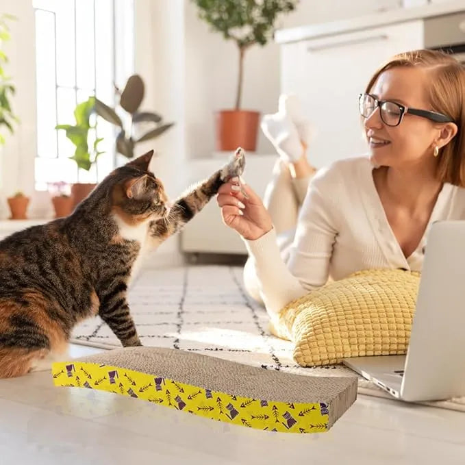petbroo cat  scratching board
