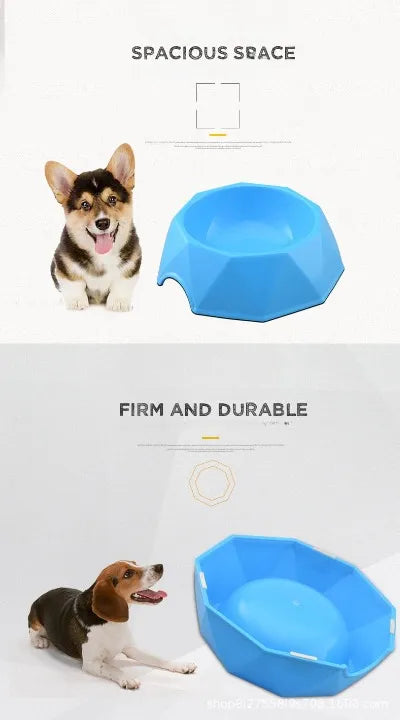 Petbroo crystal shaped stylish feeding bowl, suitable for cats, small puppies- pet feeding