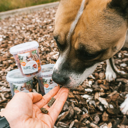Duvo+ - Eco veggie- SPINACH AND PUMKIN MIX-500g dog treats