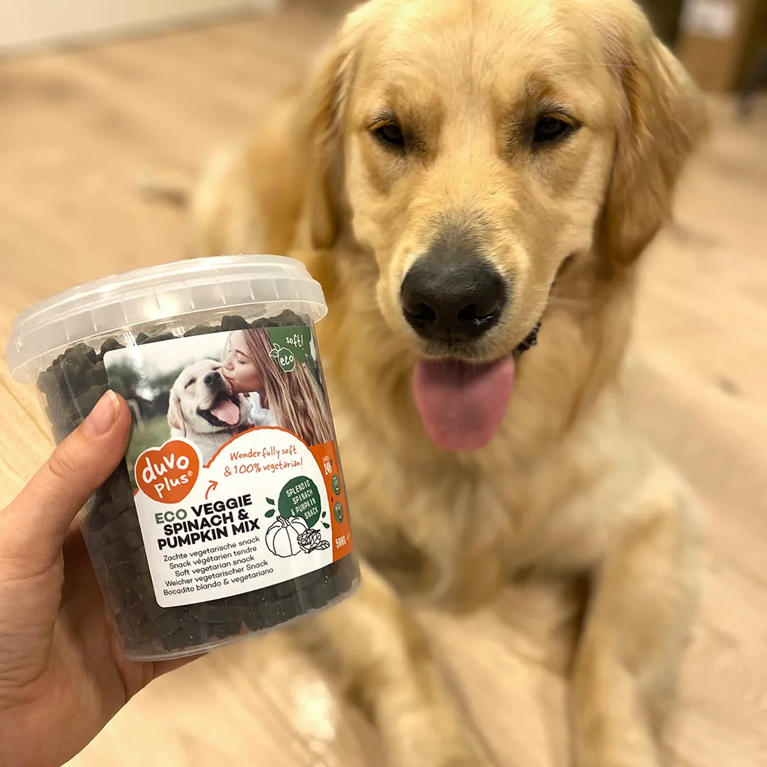 Duvo+ - Eco veggie- SPINACH AND PUMKIN MIX-500g dog treats
