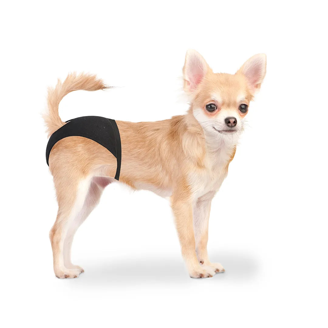 Duvo+ dog pants - dog apparels