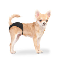 Duvo+ dog pants - dog apparels