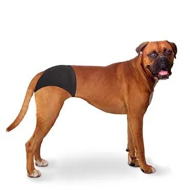 Duvo+ dog pants - dog apparels