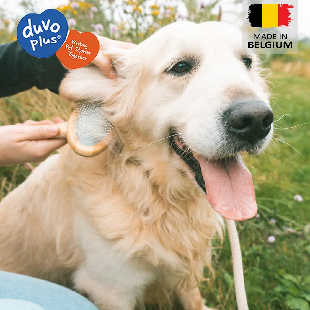 Duvo+ Bamboo slicker brush -  grooming tools