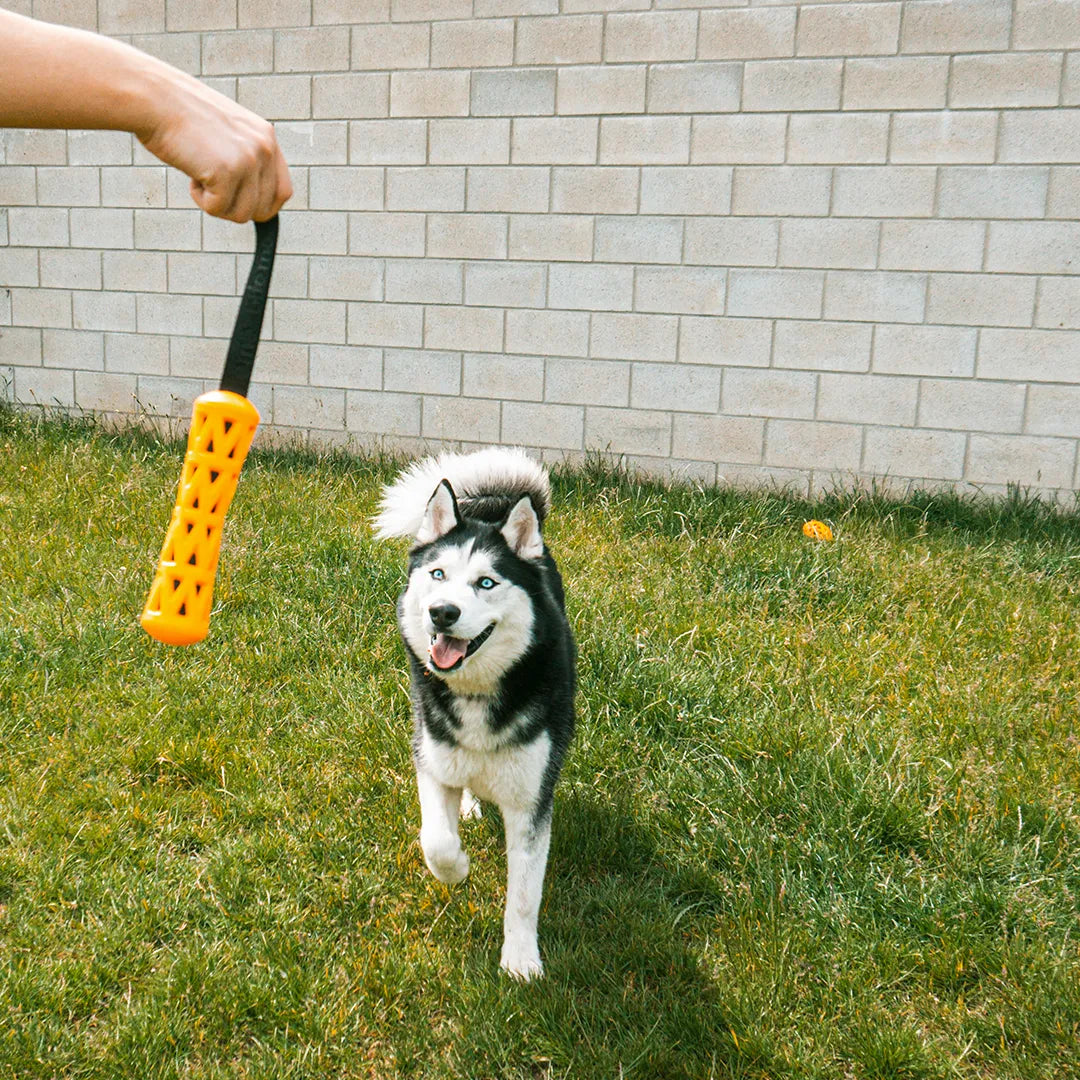 ebi- crack me up- stick- dog toy